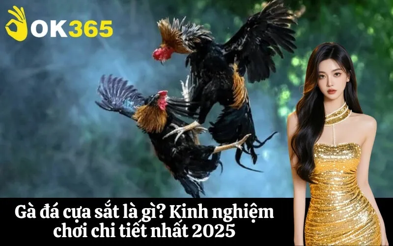 Gà đá cựa sắt là gì Kinh nghiệm chơi chi tiết nhất 2025