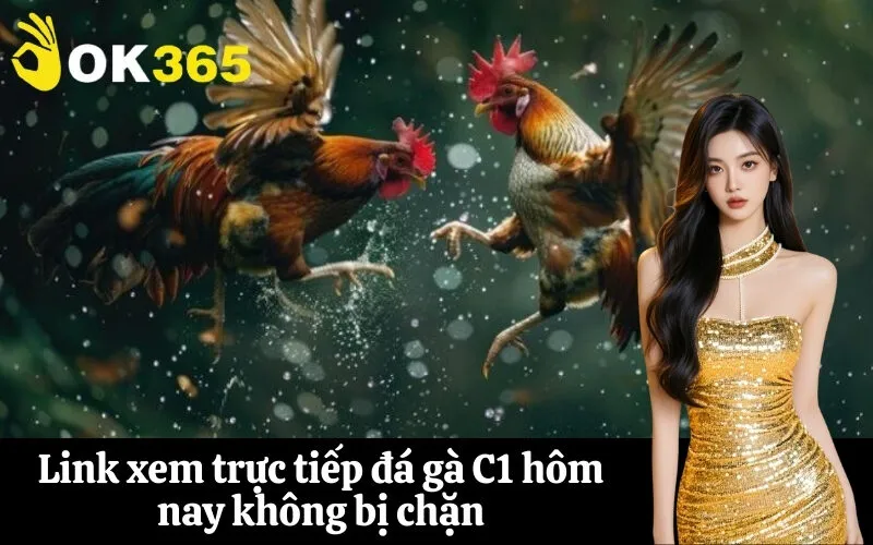 Link xem trực tiếp đá gà C1 hôm nay không bị chặn