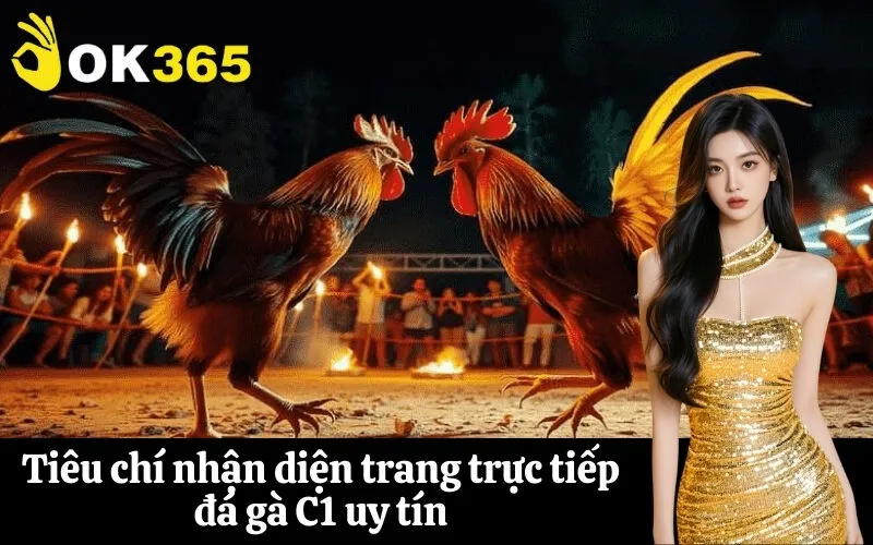 Tiêu chí nhận diện trang trực tiếp đá gà C1 uy tín